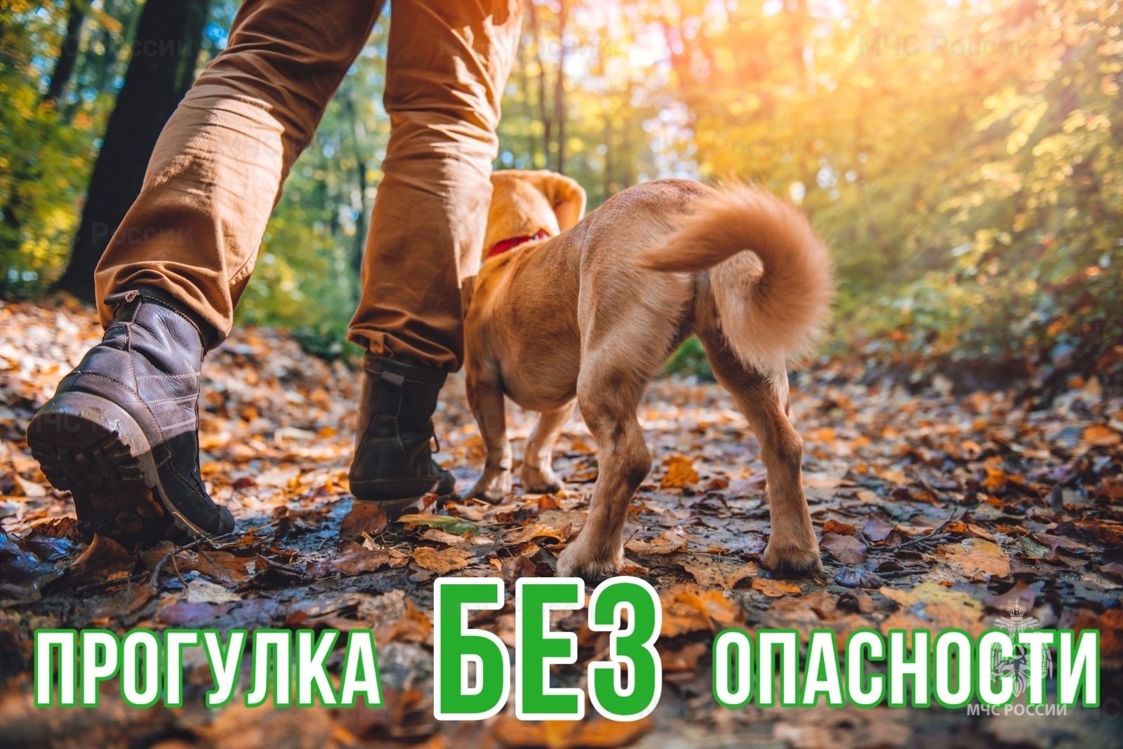 Поведение детей на улице Поведение детей на улице