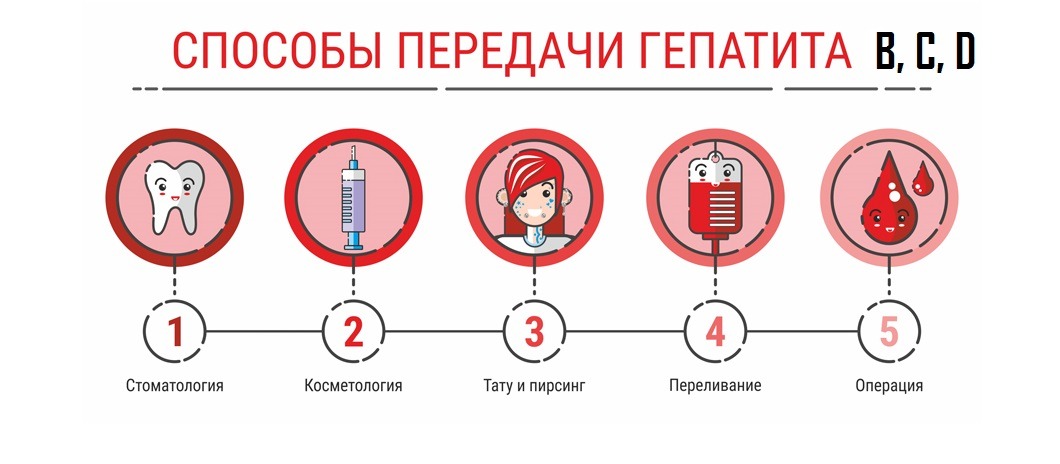 28.07. – 03.08.2025 неделя профилактики заболеваний печени 28.07. – 03.08.2025 неделя профилактики заболеваний печени
